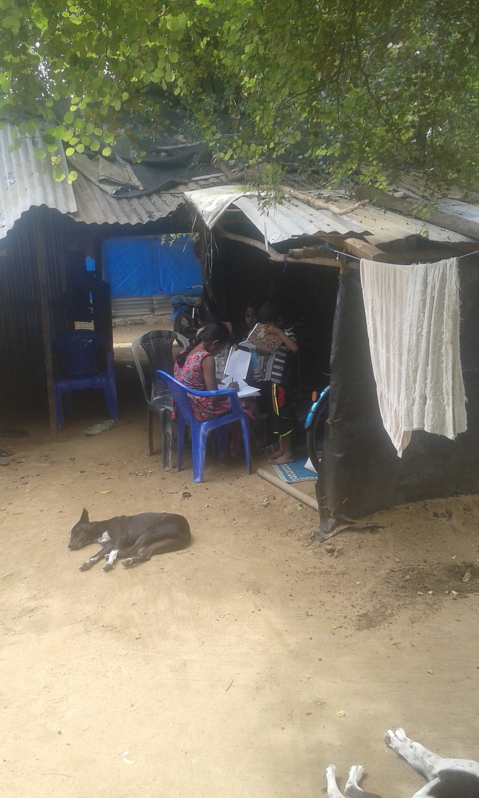 Studying in the camp