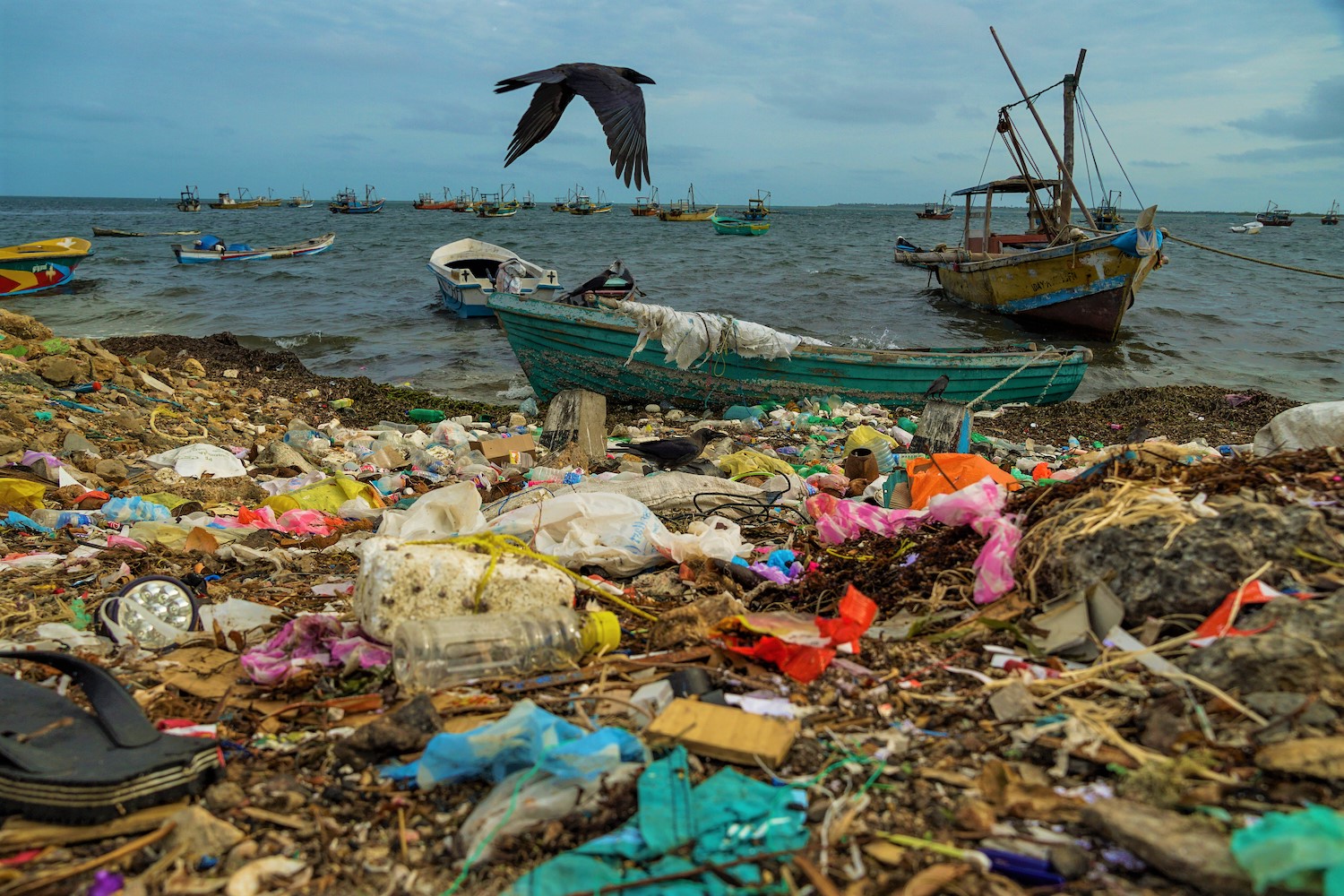marine pollution in sri lanka essay