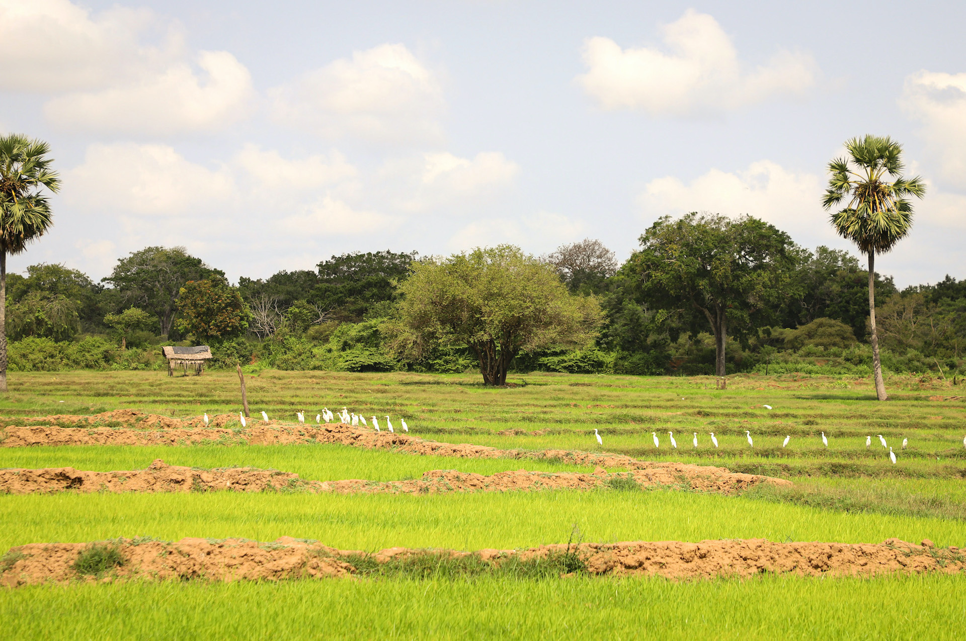 12 Years Later, the War Affected in the East Struggle On Without Land ...