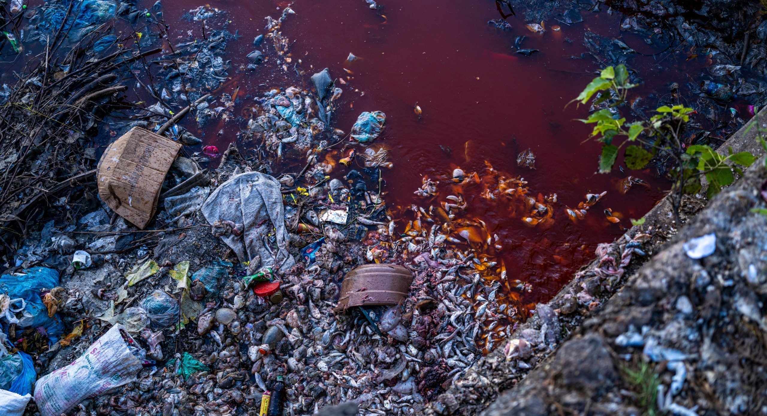 water pollution in sri lanka presentation