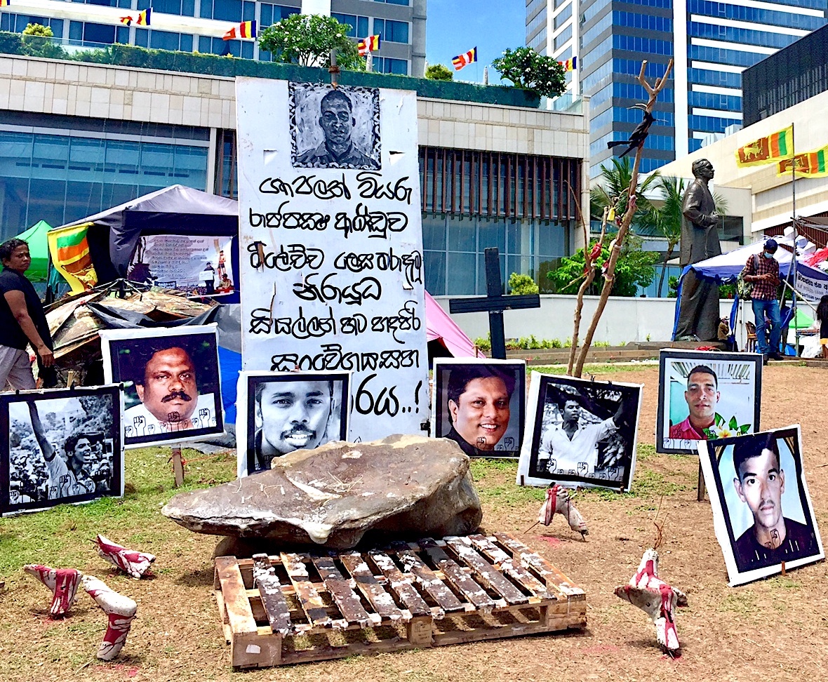 Sri Lanka's organic farming disaster, explained - Vox
