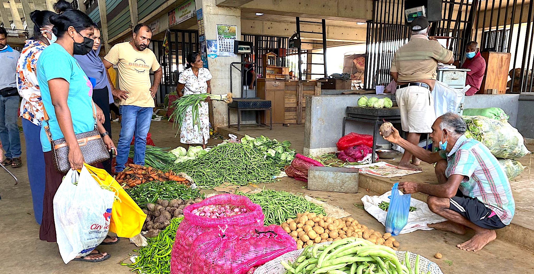 city-resilience-through-urban-and-peri-urban-agriculture-groundviews